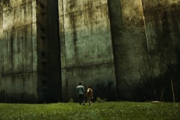 The-Maze-Runner-2014-Movie-Wallpapers