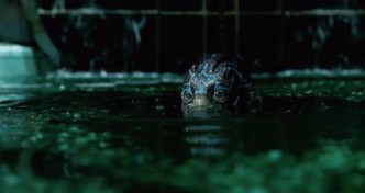 The-Shape-of-Water5